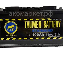 Тюмень Standart 100 пп 790EN